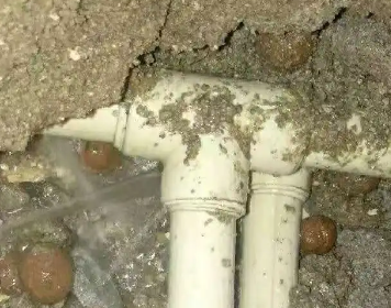 若羌测漏水多少钱