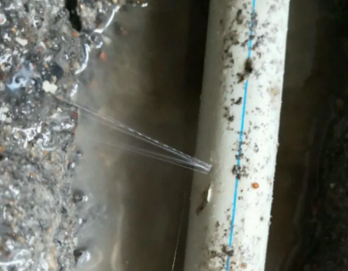 若羌测漏水哪家好