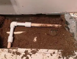 若羌测漏水哪家好