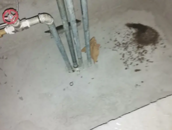 若羌卫生间测漏水价格明细