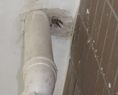 若羌漏水检测哪家好